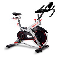 Rex Electronic bicycle: intended for all those athletes who want extra intensity in their training