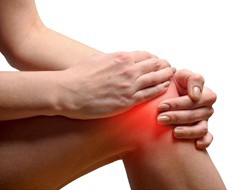 Joint and bone health Joint and bone health