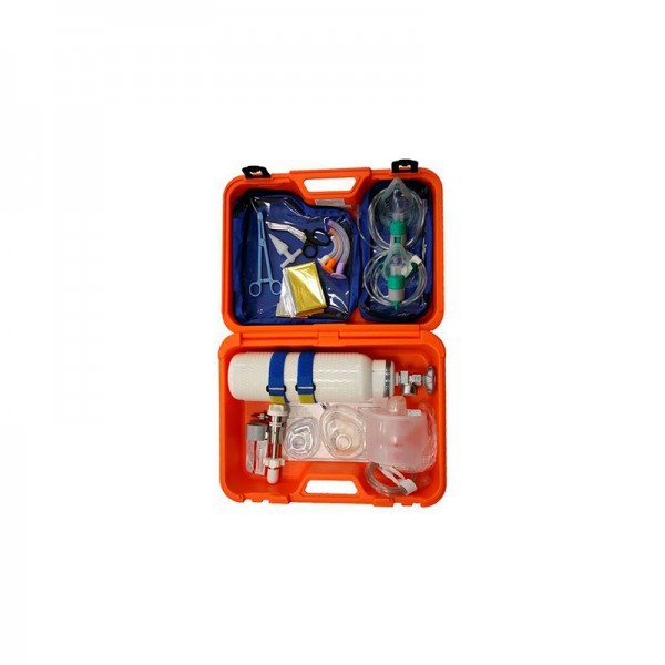 Resuscitation bag with pressure regulator 15L + 2L oxygen bottle (no load) Resuscitation bag with pressure regulator 15L + 2L oxygen bottle (no load)
