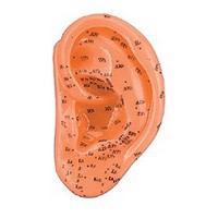 Left ear soft rubber 13 cm Left ear soft rubber 13 cm