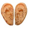Soft rubber ears 8cm (Pair)