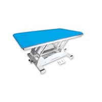 Bobath Supreme electric stretcher: One body, wheels with centralized system and super-robust (250 kg)