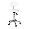 Practi Plus Backrest Stool Practi Plus Backrest Stool