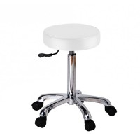 Fast backless stool: With gas piston lift and practical flat, circular seat (White) - DISPLAY - LAST UNIT! Fast backless stool: With gas piston lift and practical flat, circular seat (White) - DISPLAY - LAST UNIT!